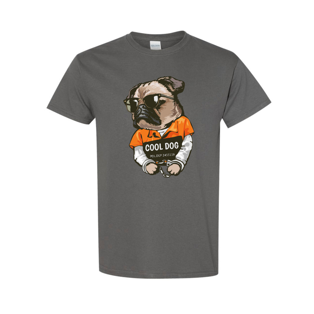 front_17