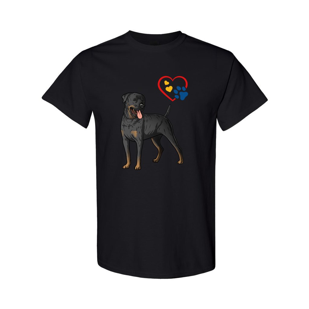 front_11