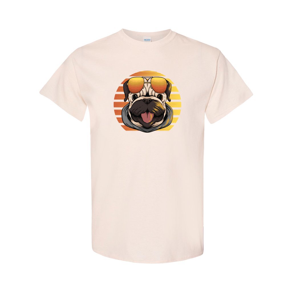 front_113