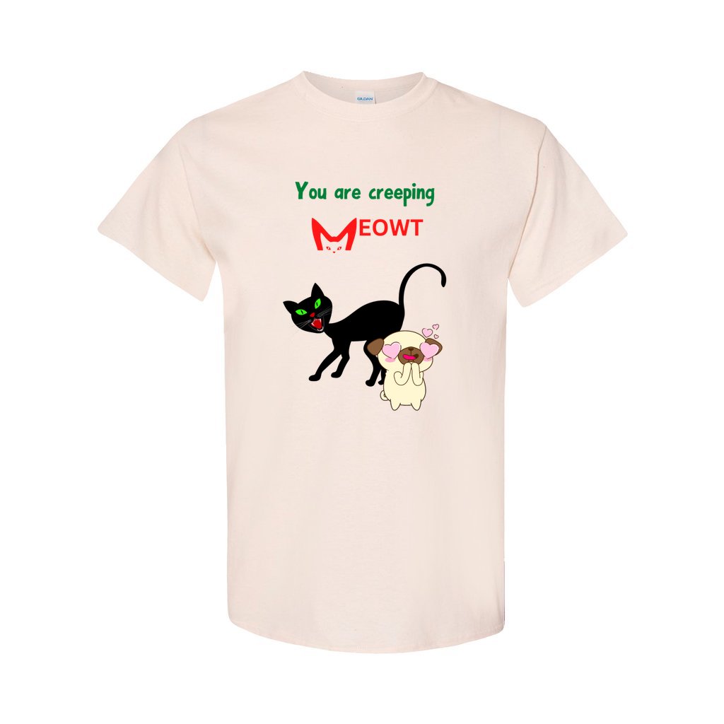 front_113