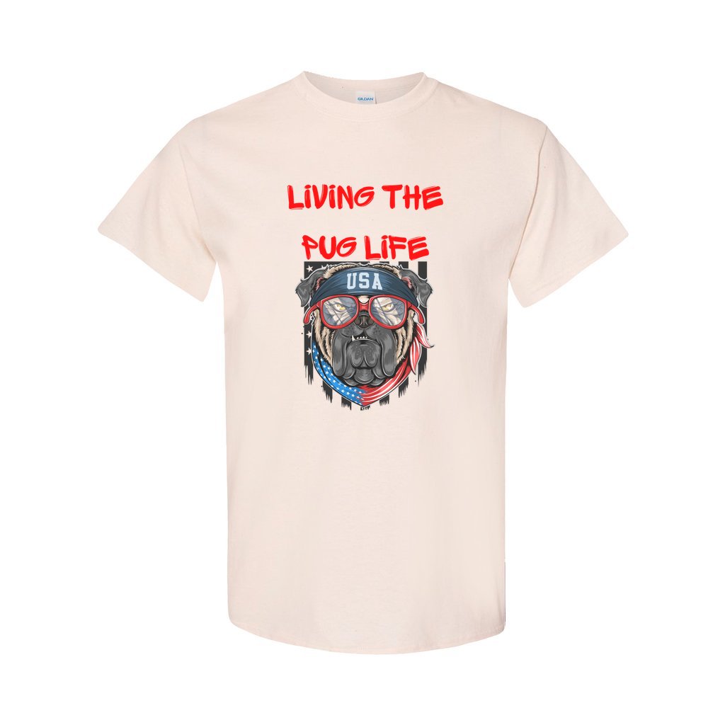 front_113