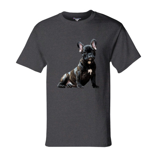 front_19